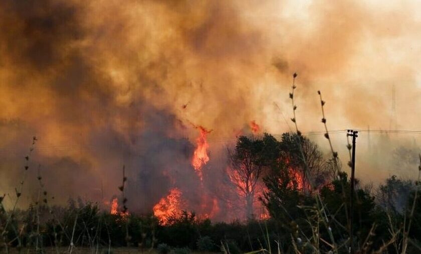 Φωτιά στον Έβρο: Συγκλονίζουν οι μαρτυρίες των κατοίκων για την ανείπωτη καταστροφή